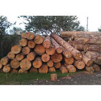 Spruce Wood Lumber