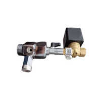 Indirect Low Pressure Valve With Solenoid - Silver, Customized Port Size, Sealed Structure | Designed For Gas And Water, Pressure Reducing For Industrial Use