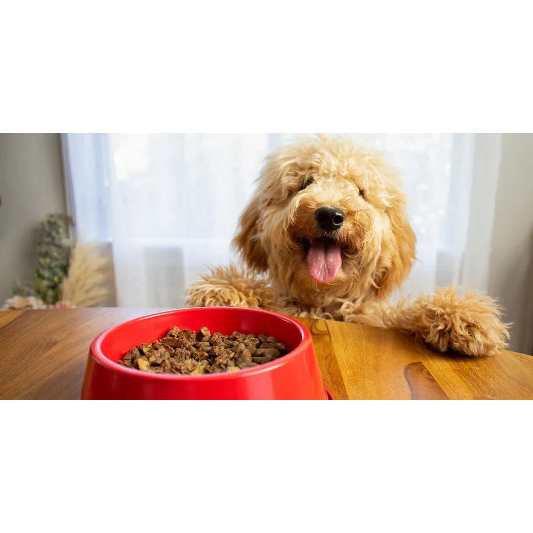 Adult Dog food Kibbles for Export