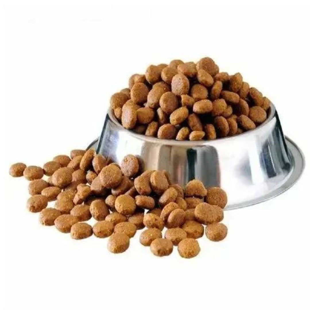 Adult Dog food Kibbles for Export