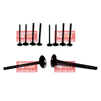 Inlet & Exhaust Valve Set - Steel Material | Designed For Mitsubishi Canter, Mazda T3500, Swaraj Mazda, Tata 613, Marcopolo 909, Ace, Xenon Dicor, Eicher
