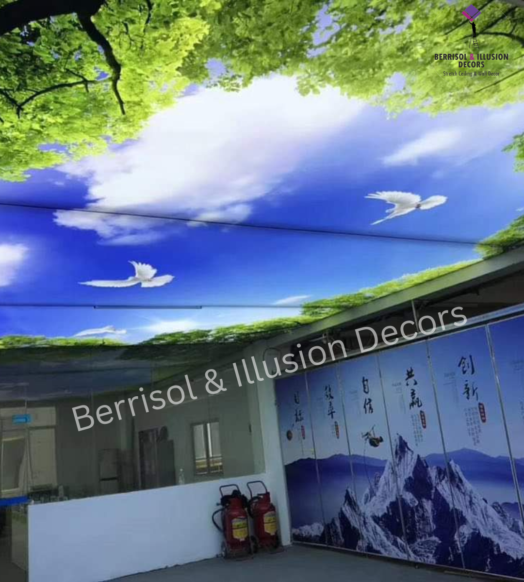 3d Graphic Stretch Ceiling - Pattern: Customize