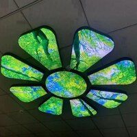 3D Graphic Stretch Ceiling