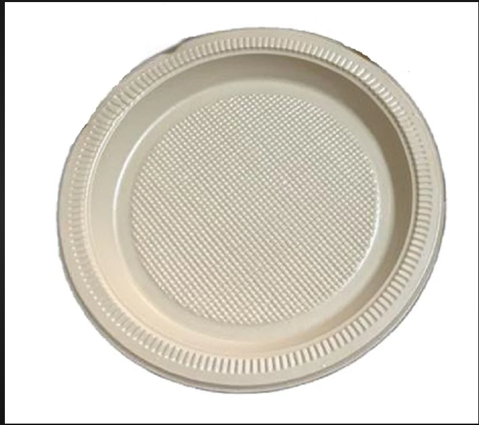 Disposable Plate 10" - 10-inch Diameter, Sturdy And Durable Design | Ideal For Catering, Picnics, Parties, And Everyday Use