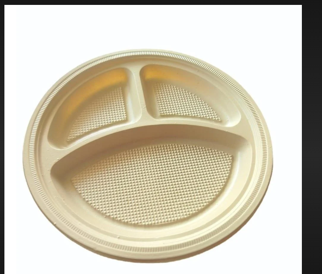 3 cp Disposable Plate - Plastic, 3 Compartment Design | Ideal for Events, Parties, or Outdoor Gatherings