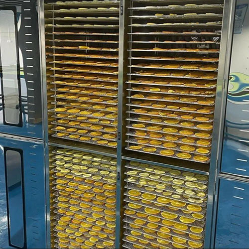 Industrial Fruits Dehydrator