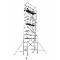 Narrow Aluminum Scaffolding Tower Ladder