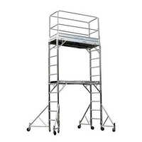 Industrial Aluminum Scaffolding Tower Ladder