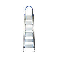 Steel Ladder