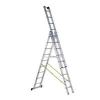 Self Supported Cum Extension Step Ladder
