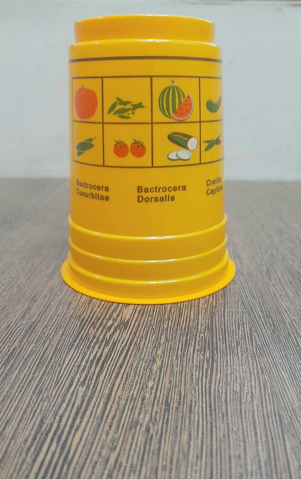 Insect Trapper - Color: Yellow