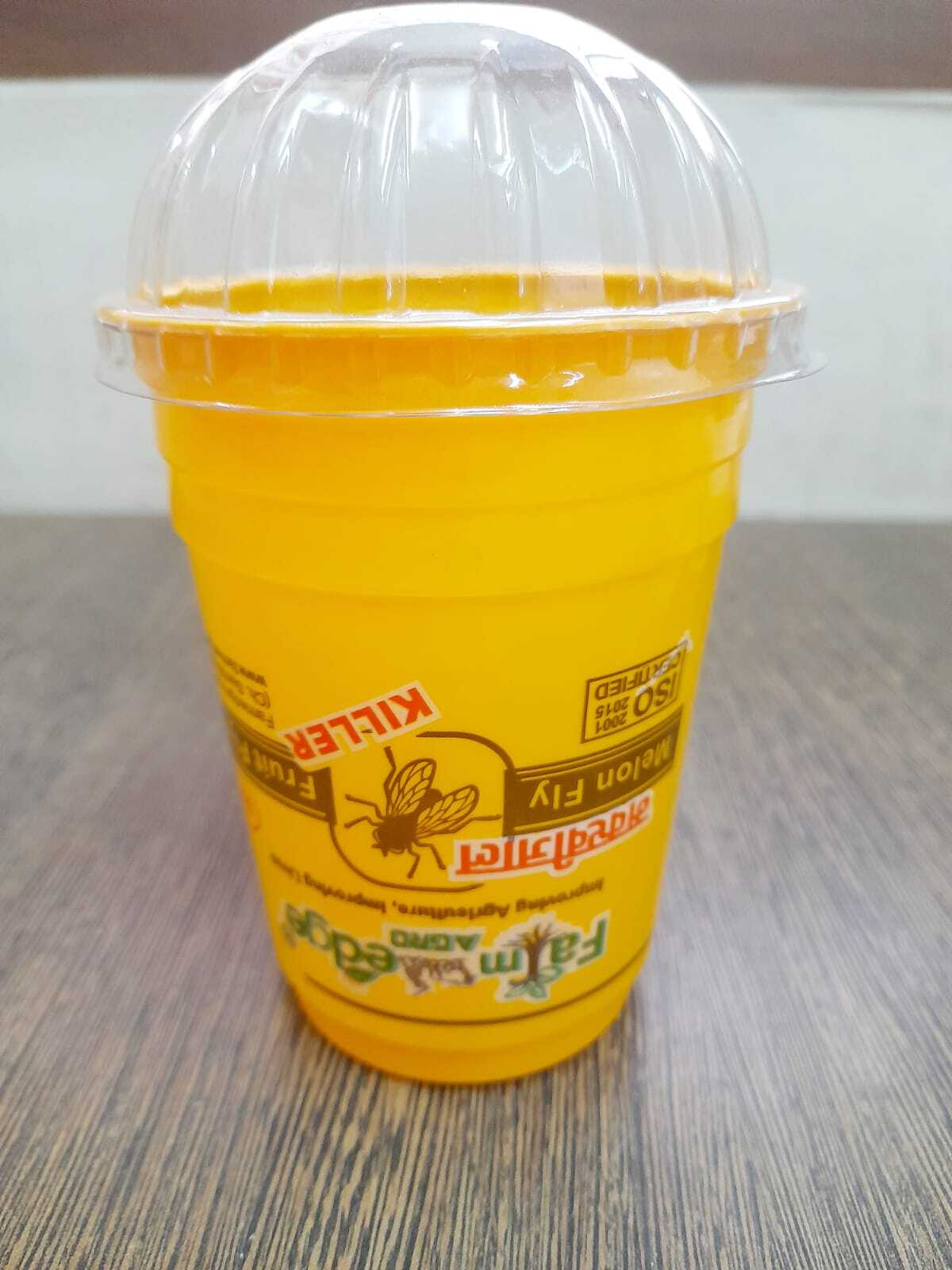 Insect Trapper - Color: Yellow