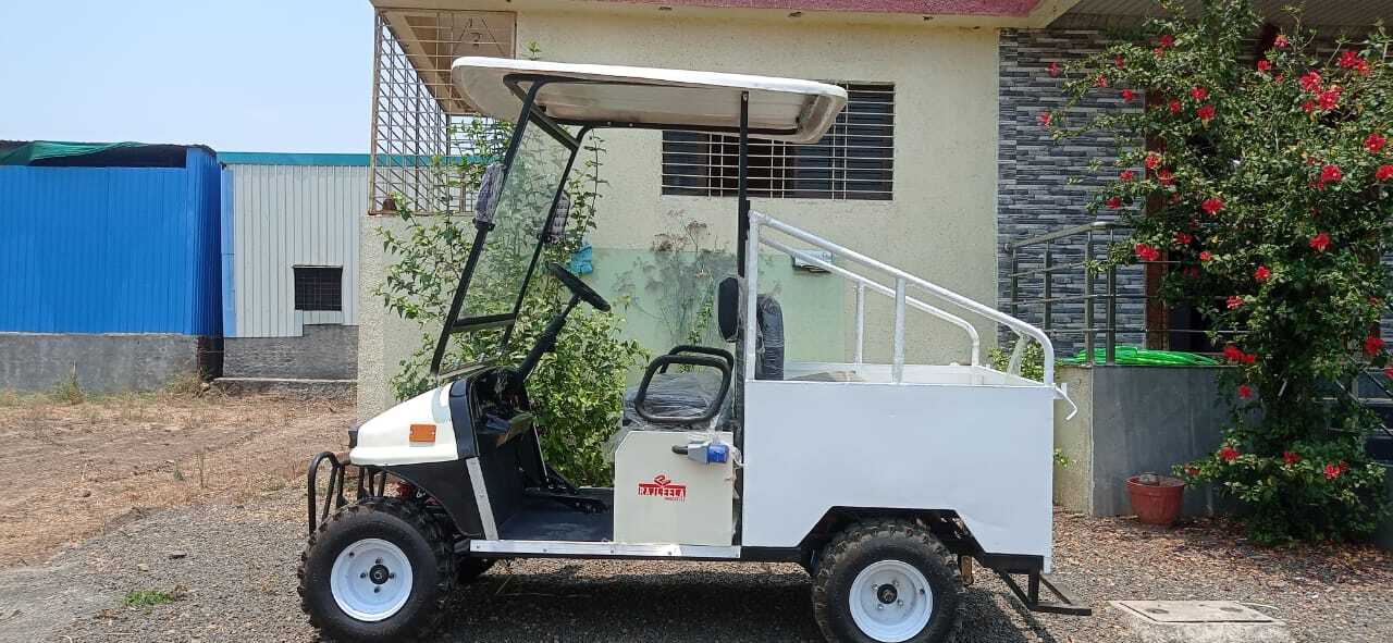 Cargo Golf Cart
