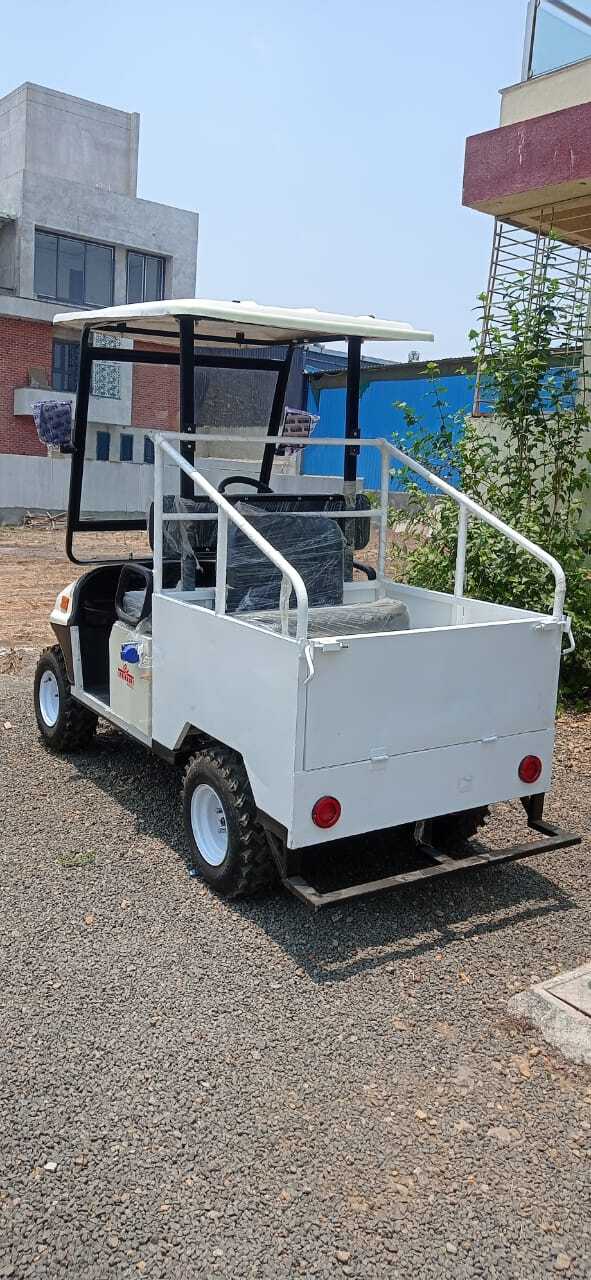 Cargo Golf Cart