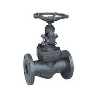 Forged Steel Globe Valve