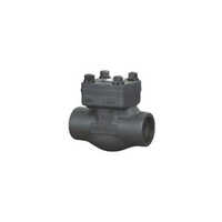 Forged Steel Check Valve - Port Size: Customized