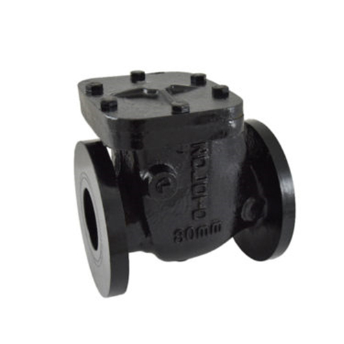 Cast Iron Check Valve