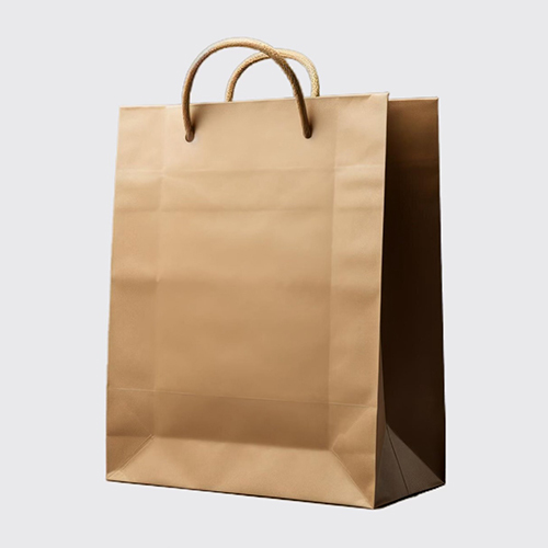 Brown Paper Bag With Handle