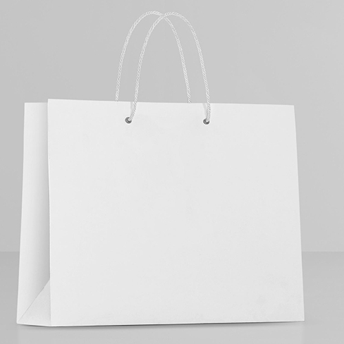 White Paper Bag