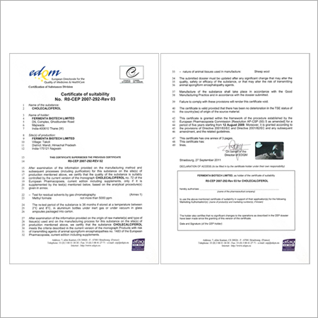 CEP 03