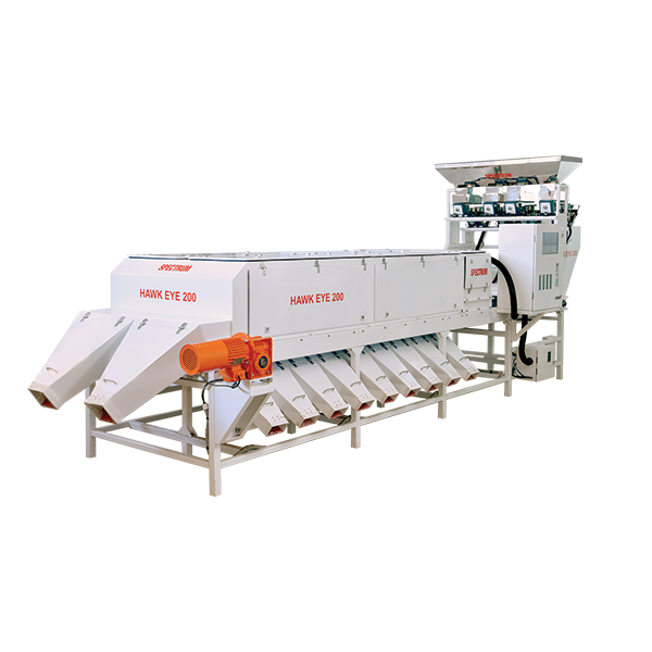 Cashew Size Grader - Capacity: 100 Kg/hr