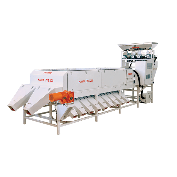 Cashew Size Grader - Capacity: 100 Kg/hr