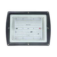 200 Watt Rectangular Led Flood Light - Aluminium Housing, Black Finish | Industrial Grade, High Efficiency, Durable Design