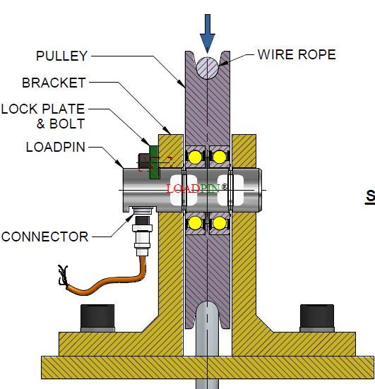 Load Pin For Hoist