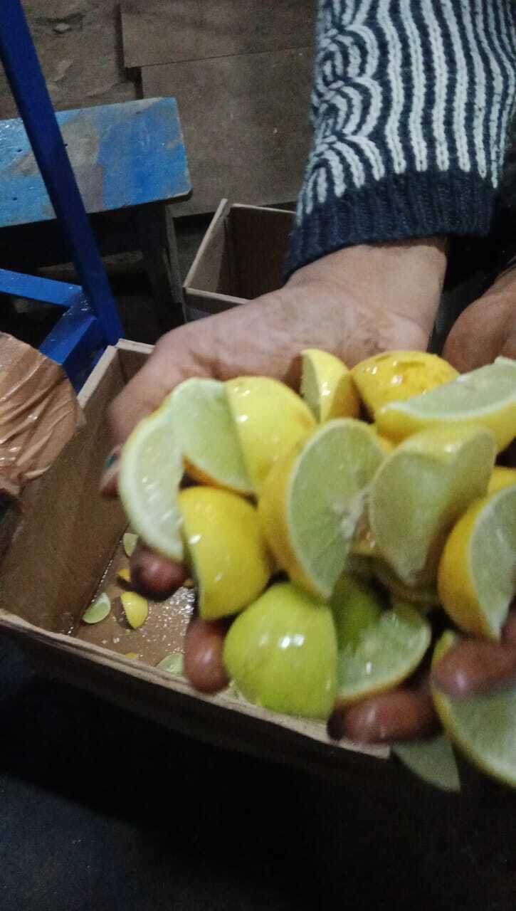 Lemon cutting machine