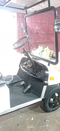 Electric Golf Kart