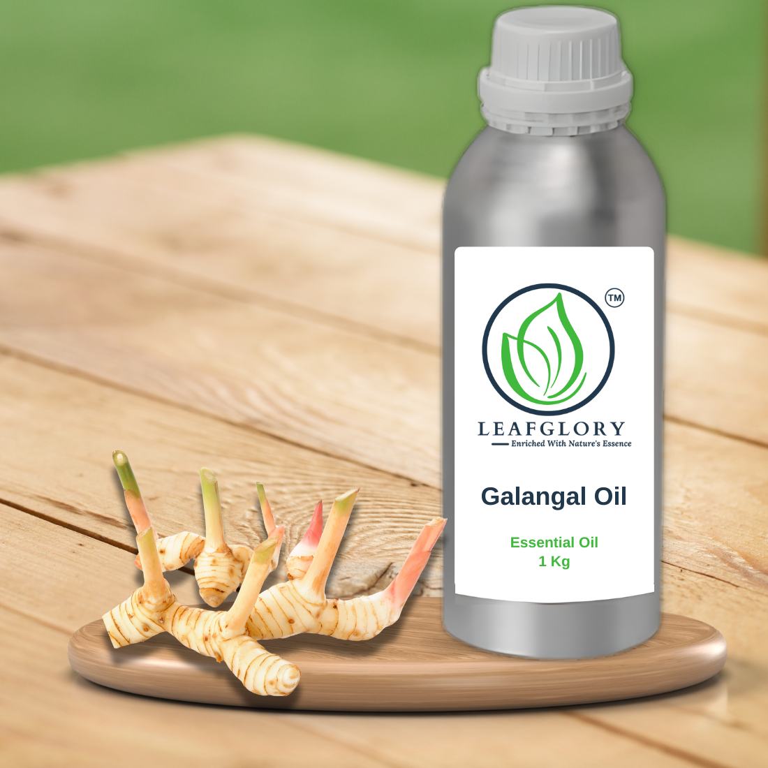 Galangal Oil
