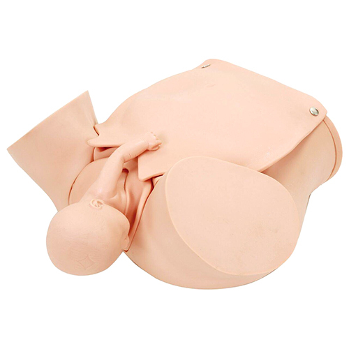 Anatomy Lab Obstetric Manikin - Color: Natural