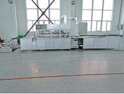 Homogeneous Film Production Technology - Application: Printing Industry