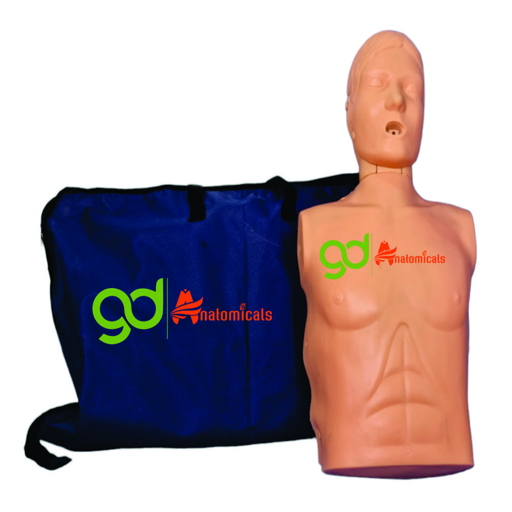 CPR Manikins - High-Quality PVC Material, Standard Style for Adult Education, Natural Color, Durable and Lightweight Design
