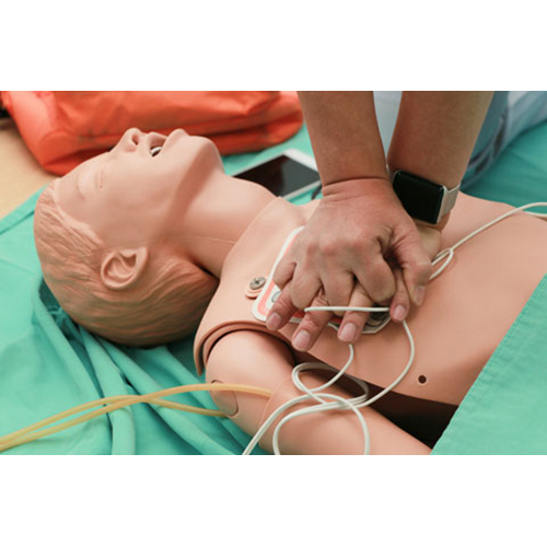 CPR Nursing Models