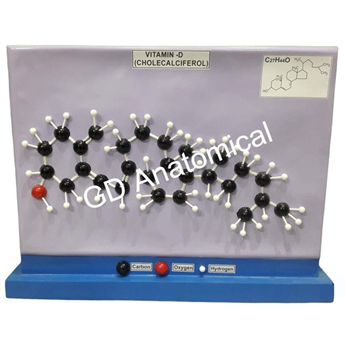 Vitamin D-Cholecalciferol Model