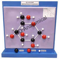 Glucose-Monosaccharide Model