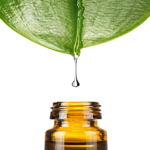 Herbal Panch Tulsi Drops