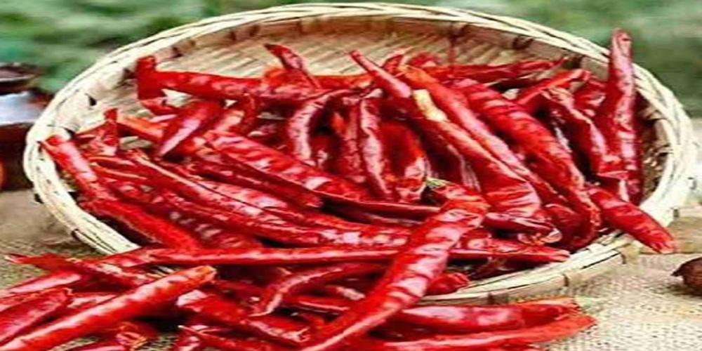 Dry Red Chilli - Shape: Elongated