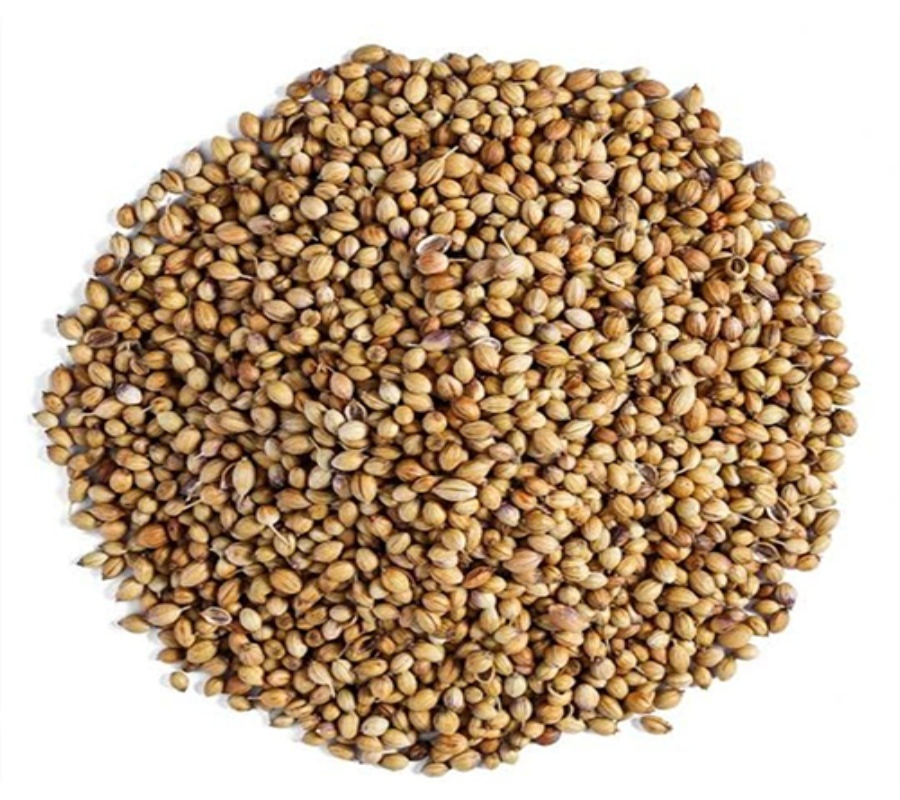 Premium Coriander Seeds - Color: Egale