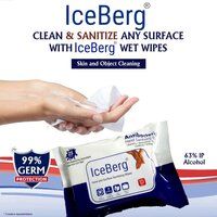 ICEBERG PREMIUM SANITIZING WIPES