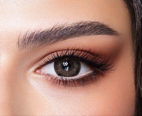 Bella One Day Ash Brown Contact Lens