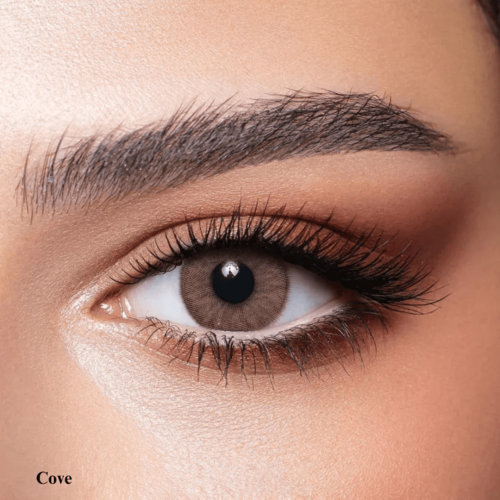 Bella One Day Cove Contact Lens