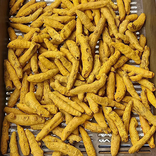 Turmeric Fingers