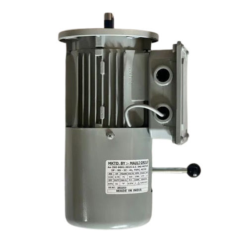 Industrial Electric Brake Motor