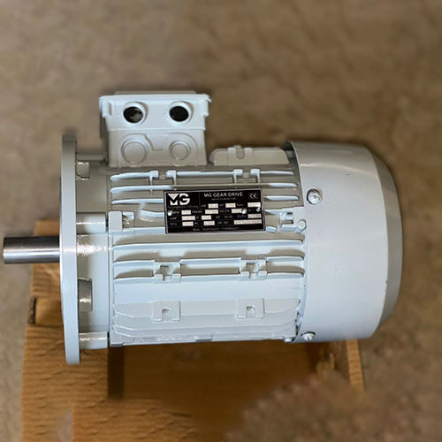 Electric Crane Duty Motor