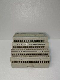 Allen-Bradley 1794-IB16 24V DC SINK INPUT