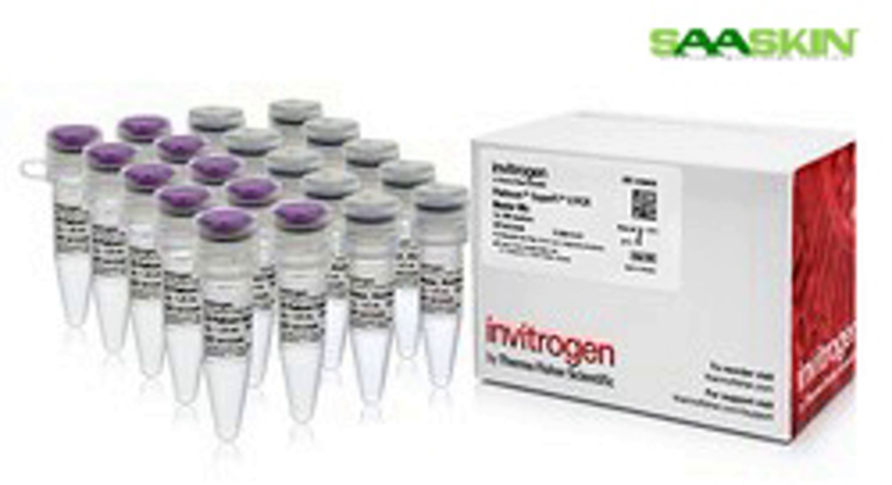 Thermo Fisher Scientific Invitrogen Platinum SuperFi II PCR Master Mix