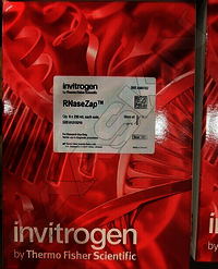 Thermo Fisher Scientific Invitrogen RNaseZap RNase Decontamination Solution