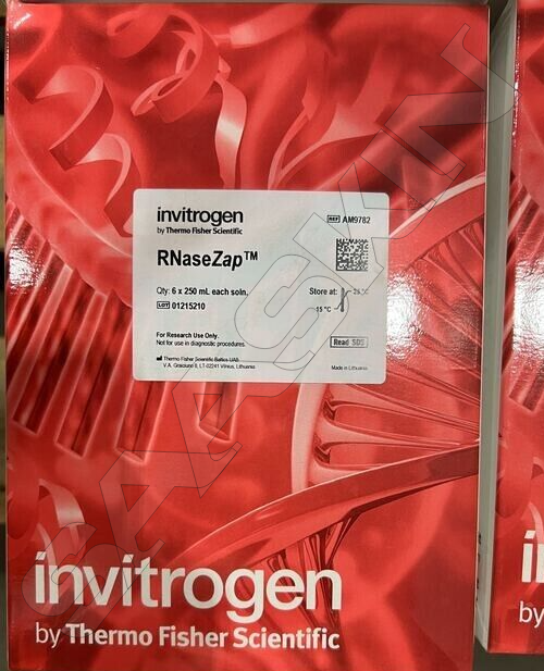 Thermo Fisher Scientific Invitrogen Rnasezap Rnase Decontamination Solution - 6 X 250 Ml Pack Size, Destroys Rnases On Contact For Molecular Biology